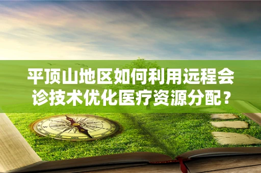 平顶山地区如何利用远程会诊技术优化医疗资源分配？