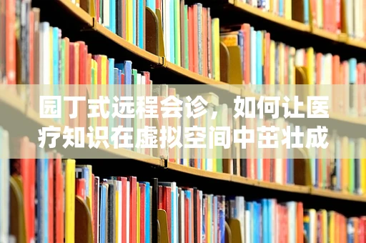 园丁式远程会诊，如何让医疗知识在虚拟空间中茁壮成长？