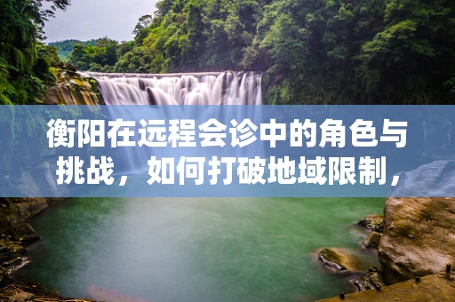 衡阳在远程会诊中的角色与挑战，如何打破地域限制，促进医疗资源均衡？