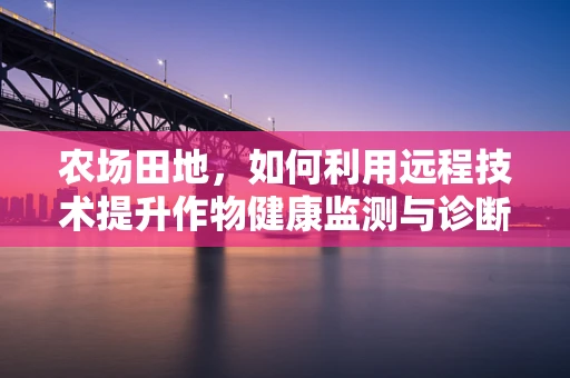 农场田地，如何利用远程技术提升作物健康监测与诊断？