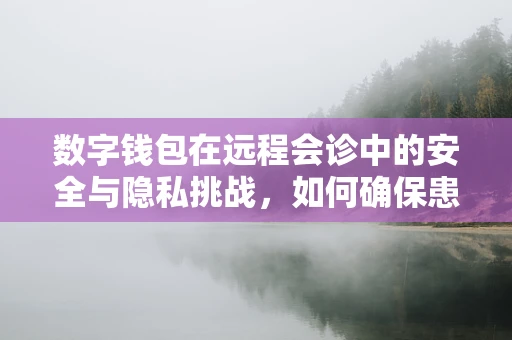 数字钱包在远程会诊中的安全与隐私挑战，如何确保患者信息不‘走漏风声’？