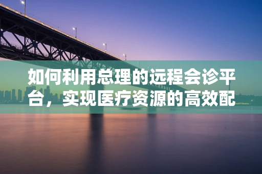 如何利用总理的远程会诊平台，实现医疗资源的高效配置？