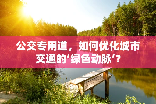 公交专用道，如何优化城市交通的‘绿色动脉’？