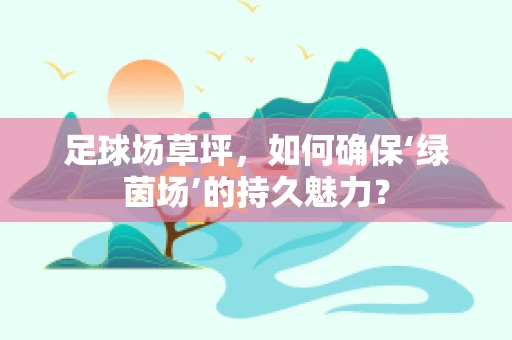 足球场草坪，如何确保‘绿茵场’的持久魅力？