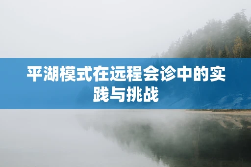 平湖模式在远程会诊中的实践与挑战