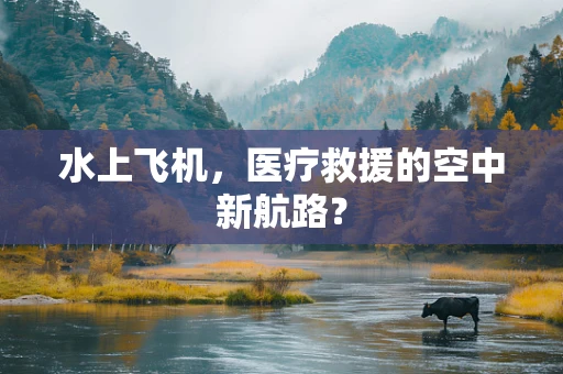 水上飞机，医疗救援的空中新航路？