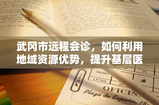 武冈市远程会诊，如何利用地域资源优势，提升基层医疗服务水平？