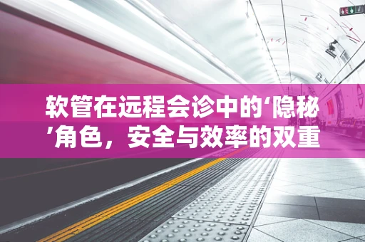 软管在远程会诊中的‘隐秘’角色，安全与效率的双重保障